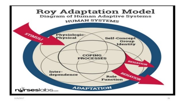 roy adaptation model application of theoretical framework roy adaptation model pdf